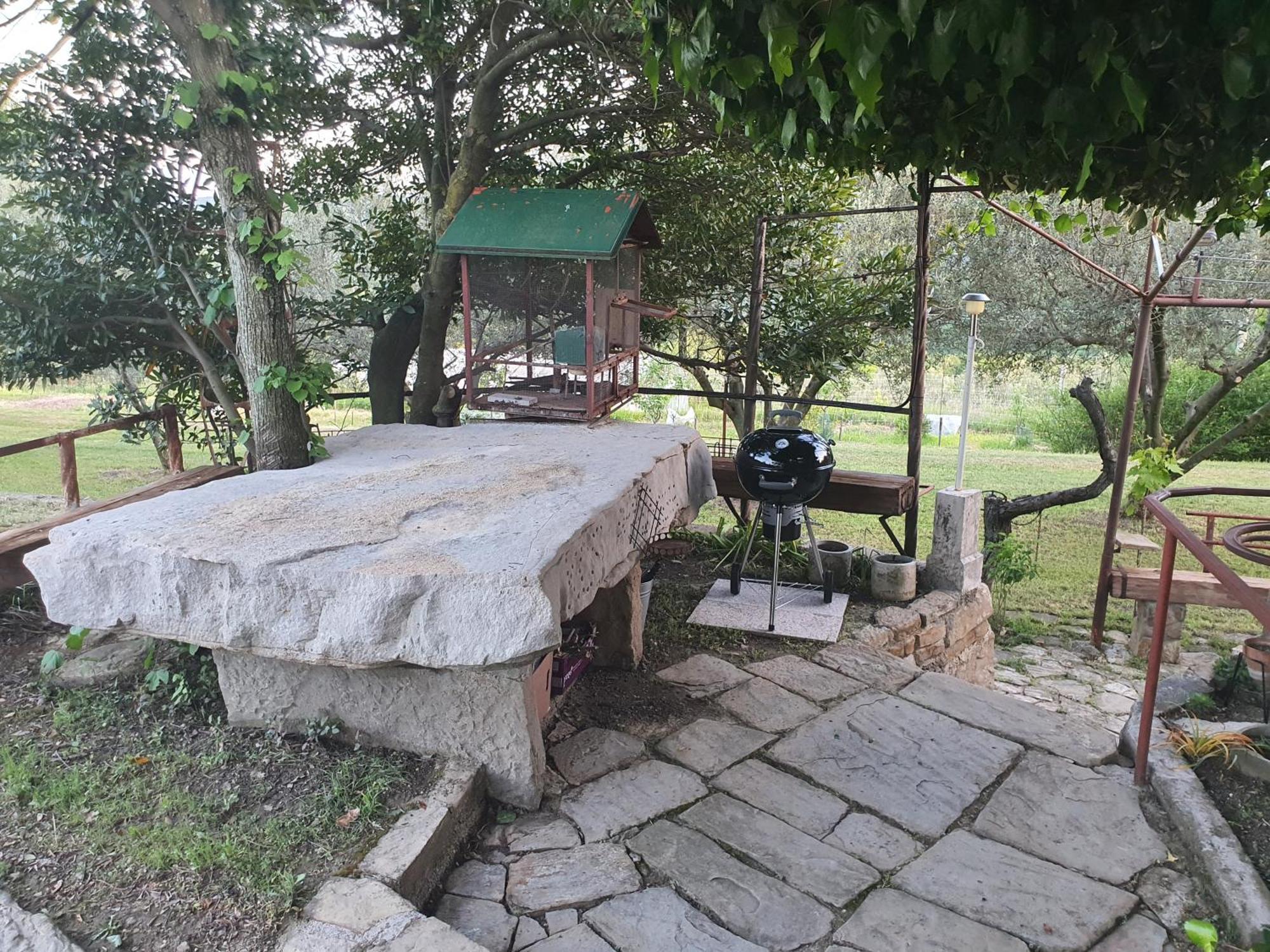 Apartma Vista Baredi Izola Exterior photo